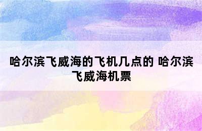 哈尔滨飞威海的飞机几点的 哈尔滨飞威海机票